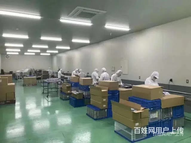 湖北黄冈蕲春餐厅服务员出国打工需要什么条件一手项目 - 图片 3